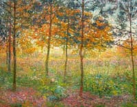 Forest View