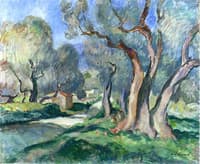 Path among Olive Trees