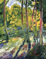 Forest with Yellow-Green LIght