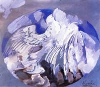 Flight