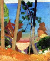 View over the Sea through the Trees