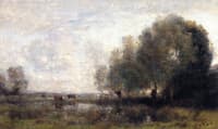 Cows in a Pasture with a Willow