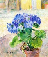 Vase of Hydrangeas