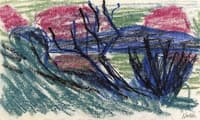 Landscape with Dark Bushes