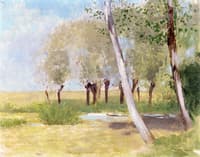 Birches in Autumn