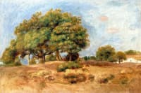 Trees, Autumn