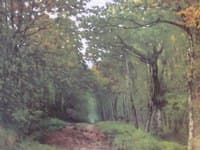 Avenue of Chestnut Trees near La Celle-Saint-Cloud