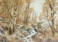 Forestry landscape