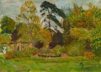 Back Garden