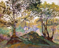Clearing in Ecouves Forest
