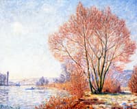 The Effect of Sunlight on the Banks of the Yonne in Winter