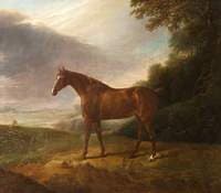 A Horse called White Sorrel in a Landscape
