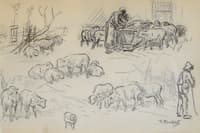 Study of sheeps and shepherds