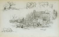 Study of sheeps and shepherds