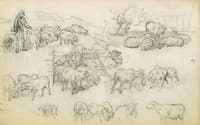 Study of sheeps and shepherds