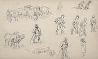 Study of sheeps and shepherds