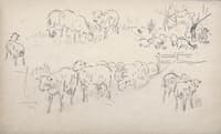 Study of sheeps and shepherds