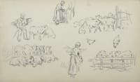 Study of sheeps and shepherds