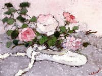 White Song