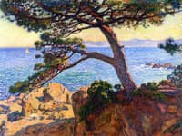 The Pine at La Fossette