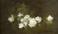 White Roses