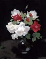 Red and White Roses