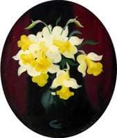 Daffodils