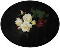 Red and White Roses