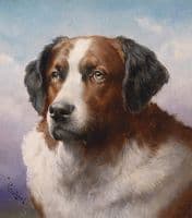 St Bernhard