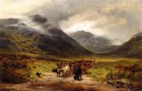 Cattle Droving in the Highlands