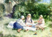 A Summer Picnic