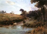 Cattle Watering