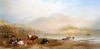 Cattle Resting at Loch Lomond