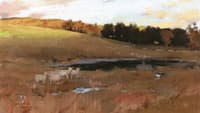 Landscape at Moniave