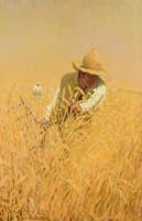 Harvesting the Wheat