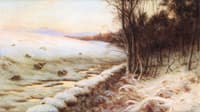 The Edge of the Wood