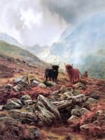 Highland Mists