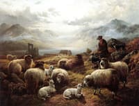 The Highland Shepherd