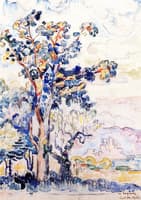 The Eucalyptus Tree