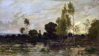 Alders