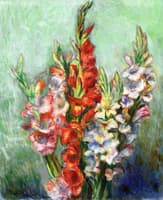 Gladiolas