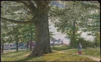 A Girl by a Beech Tree in a Landscape
