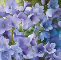 Bellflower