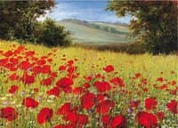 Sparkling Field