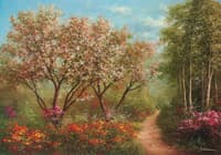 Forest in Summer