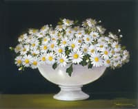 Summer Greetings
