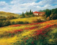 Landscape With Poppies