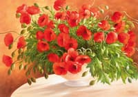 Poppies in Vase