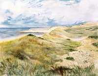 Cape Cod