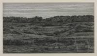 Landscape Study